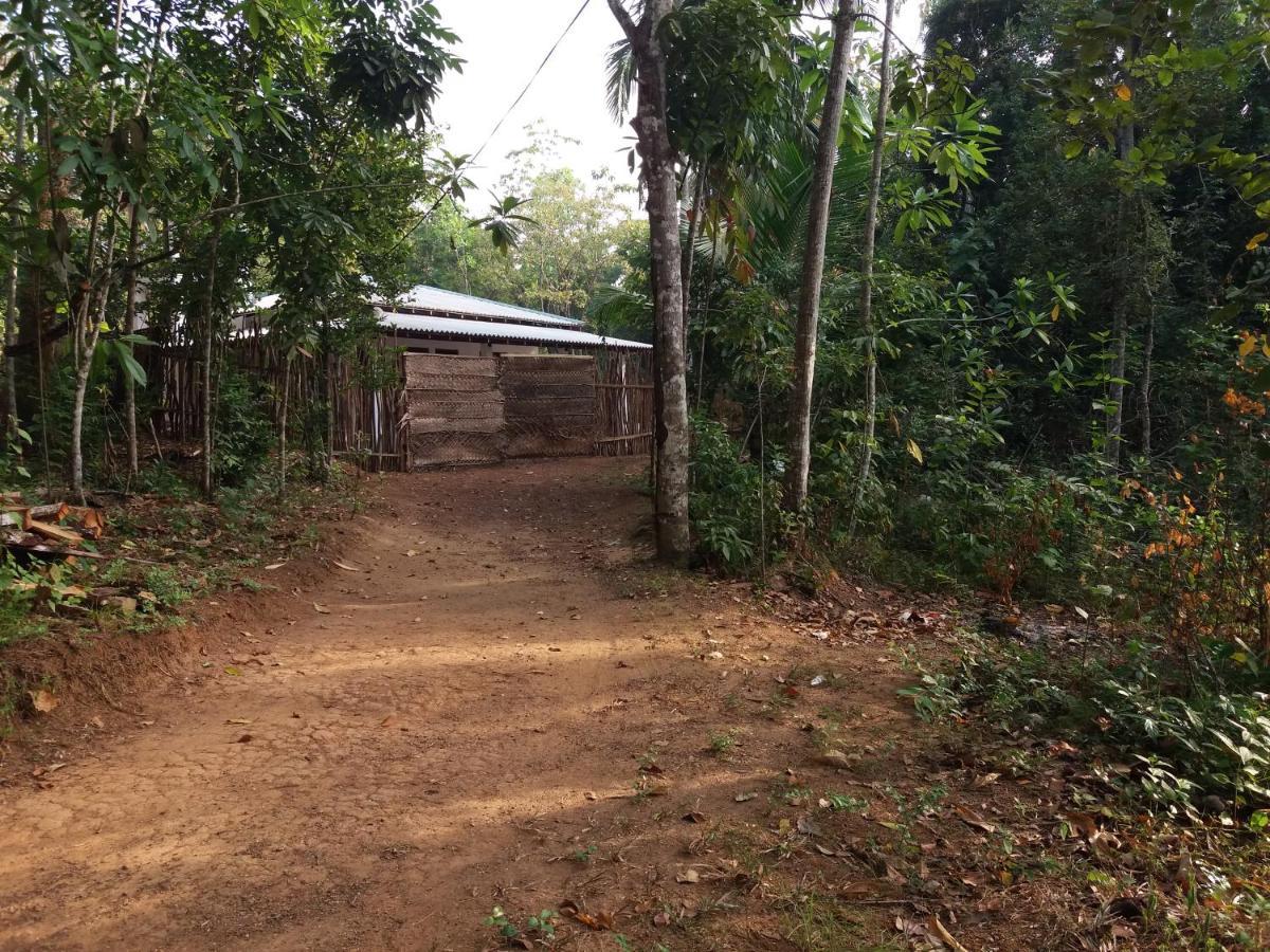 Cashew Villa Hiriketiya Диквелла Экстерьер фото