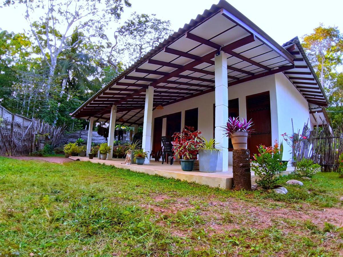 Cashew Villa Hiriketiya Диквелла Экстерьер фото